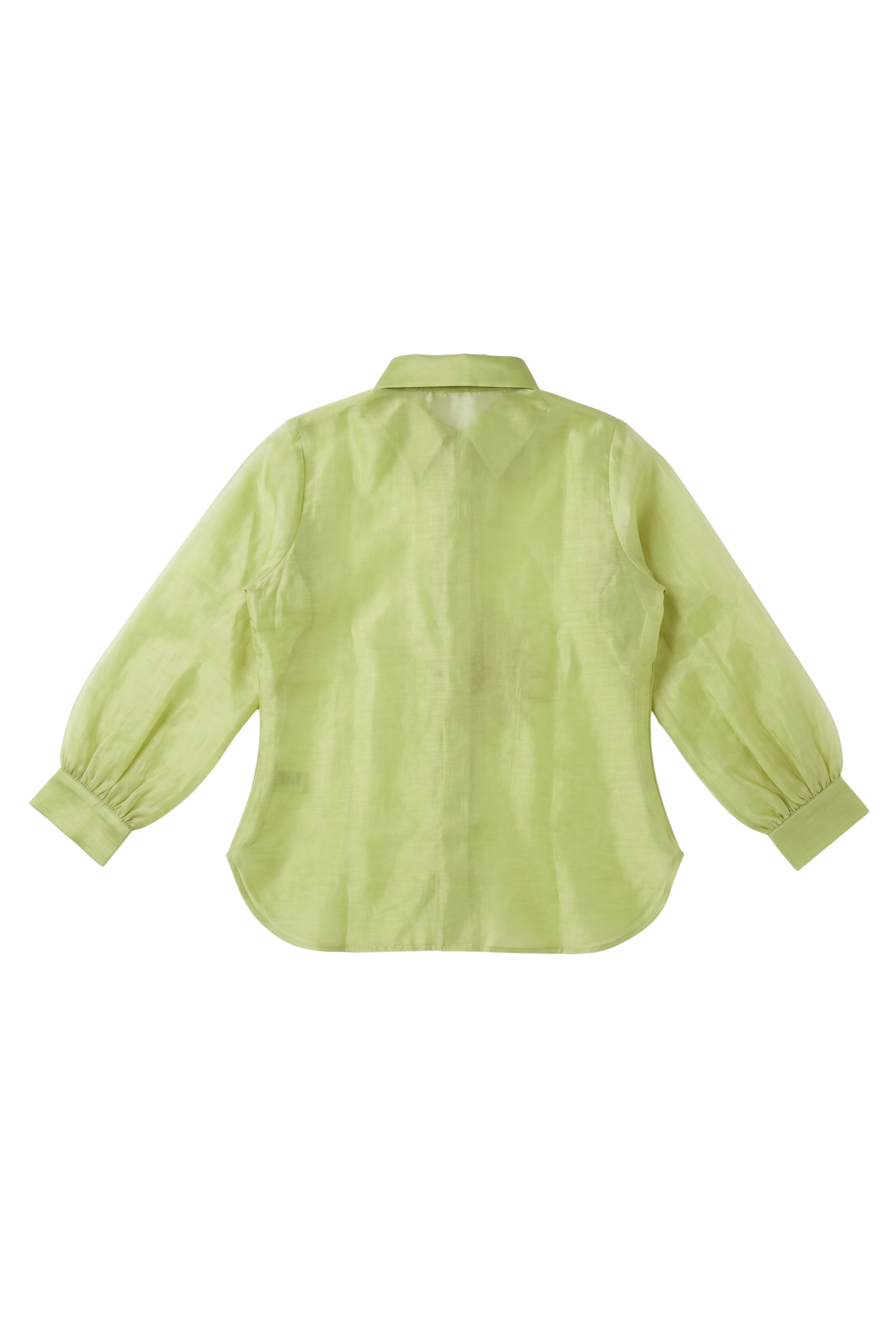 The Sprout Green Pure Organza Shirt