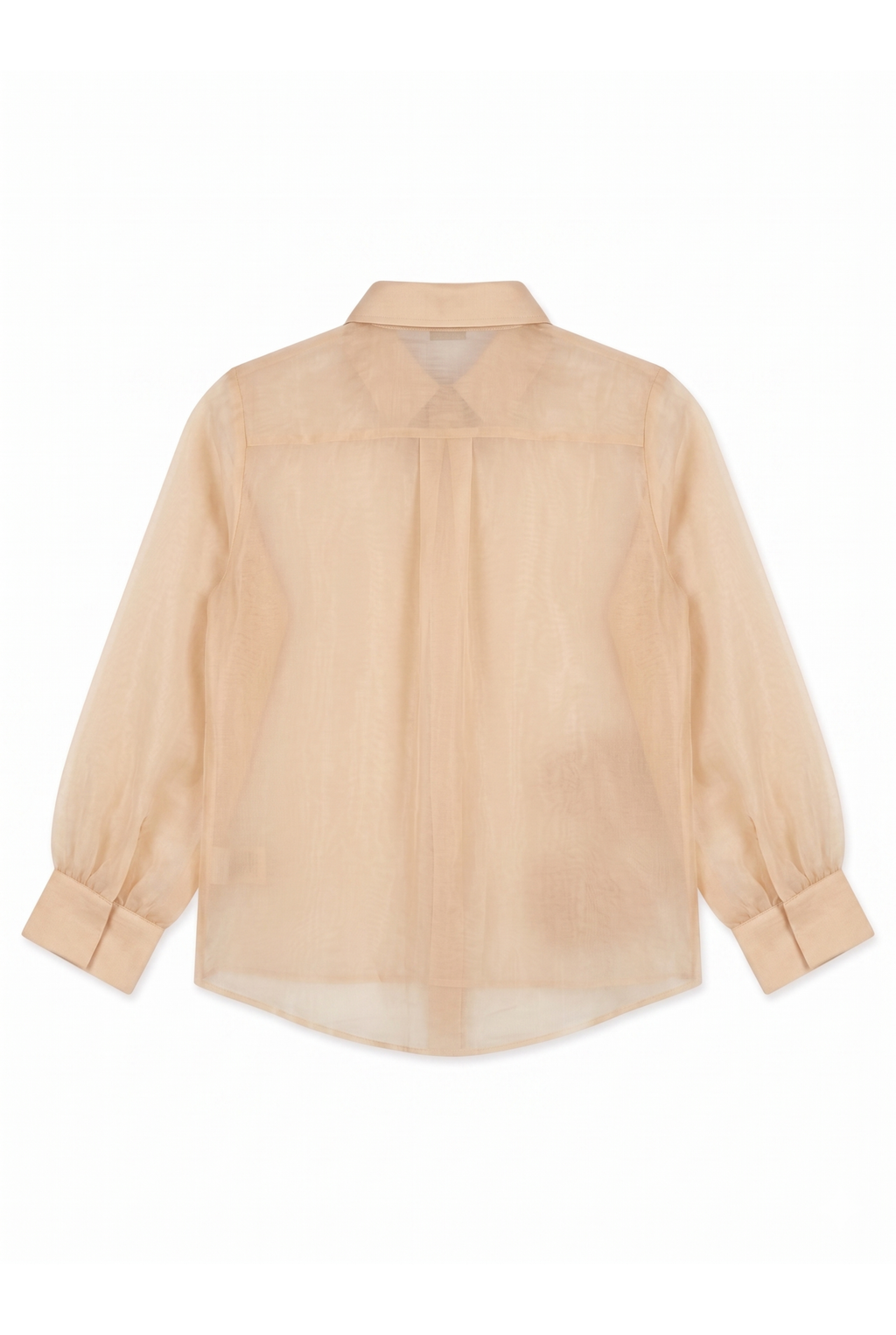 The Desert Oasis Hand-Embroidered Organza Shirt