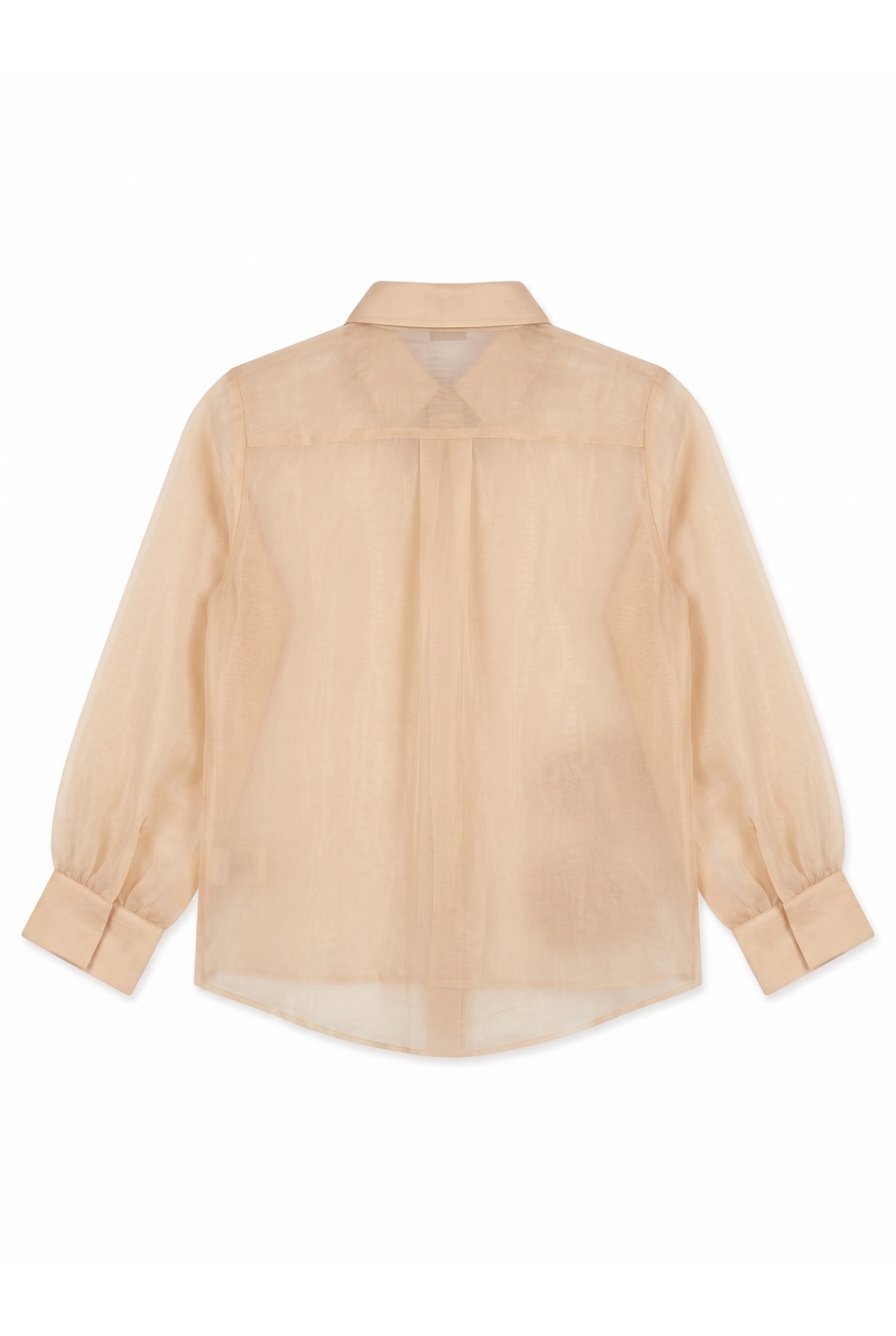 The Desert Oasis Hand-Embroidered Organza Shirt